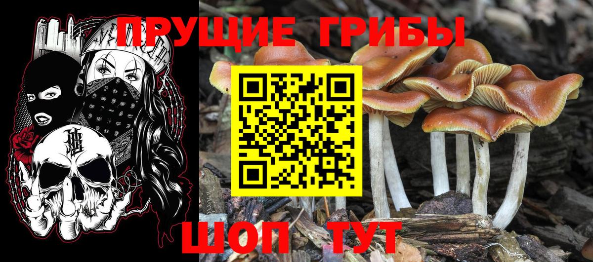 как найти закладки  Галлюциногенные грибы Cubensis  Вход с VPN  Бахчисарай  Псилоцибиновые грибы MAGIC MUSHROOMS 