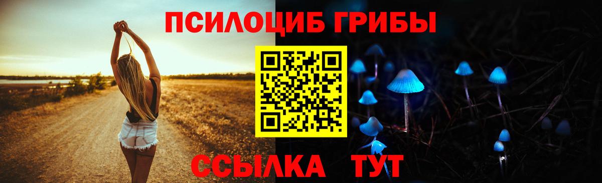 Галлюциногенные грибы Psilocybe Бахчисарай